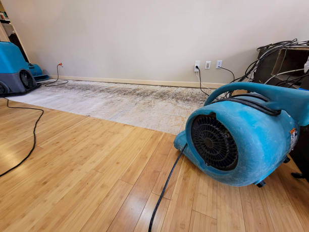 Professional Water Extraction technician working in Boyden, IA